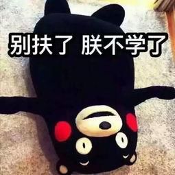 cpa历年真题及答案,cpa2020真题