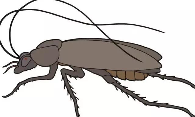 这些真假难辨的生活小常识，你被忽悠了几条？