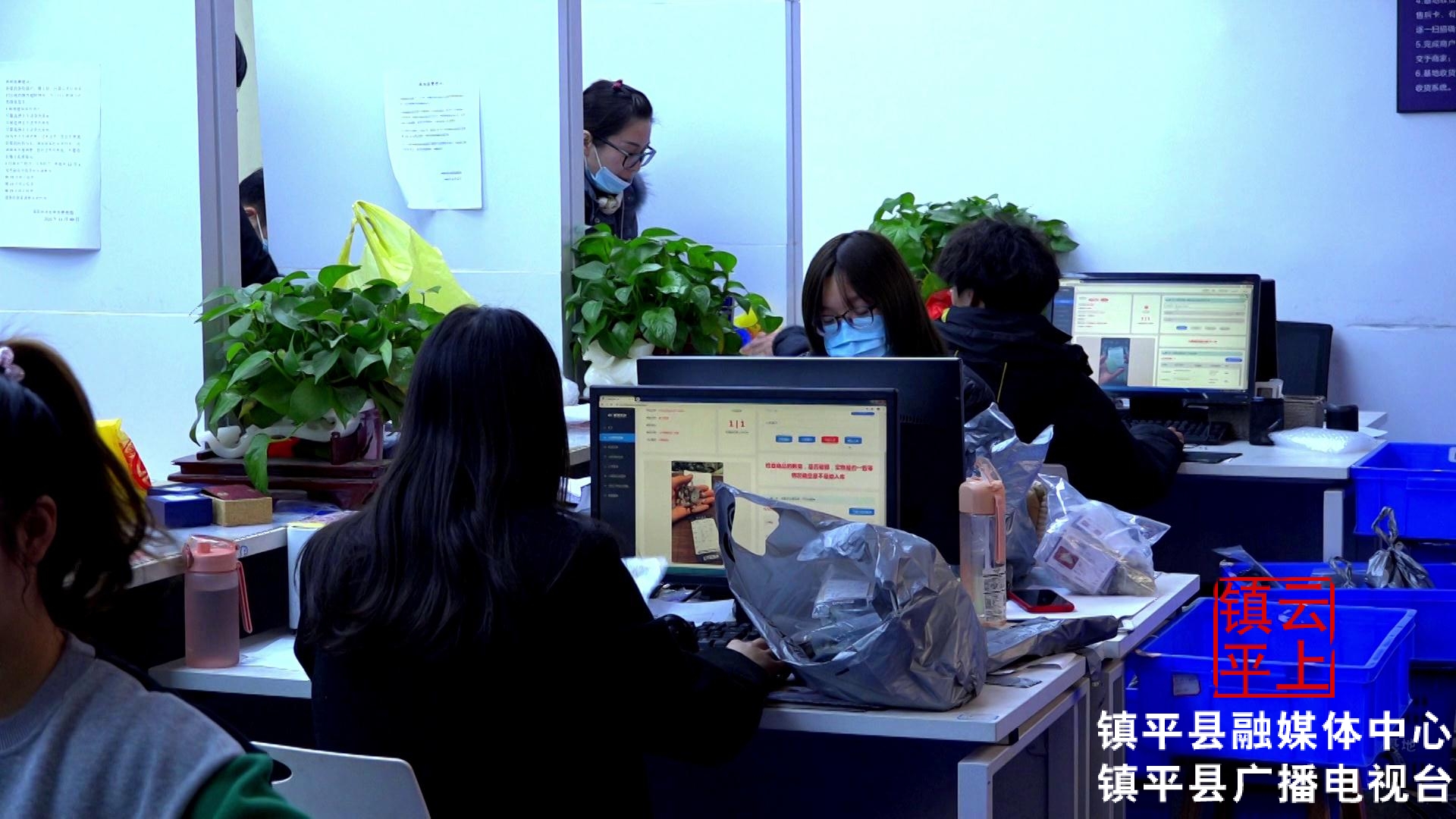 镇平县电商发展情况,镇平电商产业怎么发展起来的