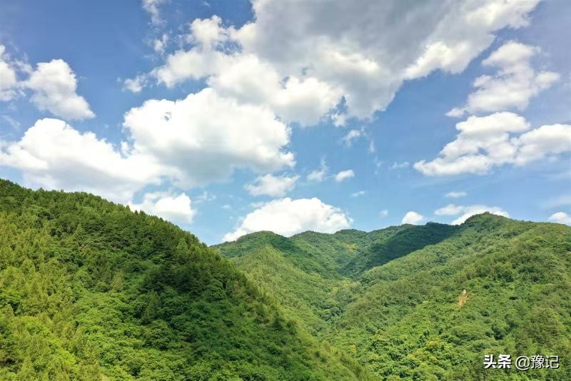 河南灵宝现在有什么水果,河南都有哪些水果