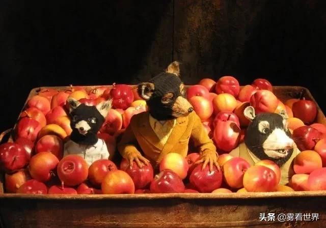 3-6岁儿童益智动画片5部经典,8-12岁好看的益智类动画片