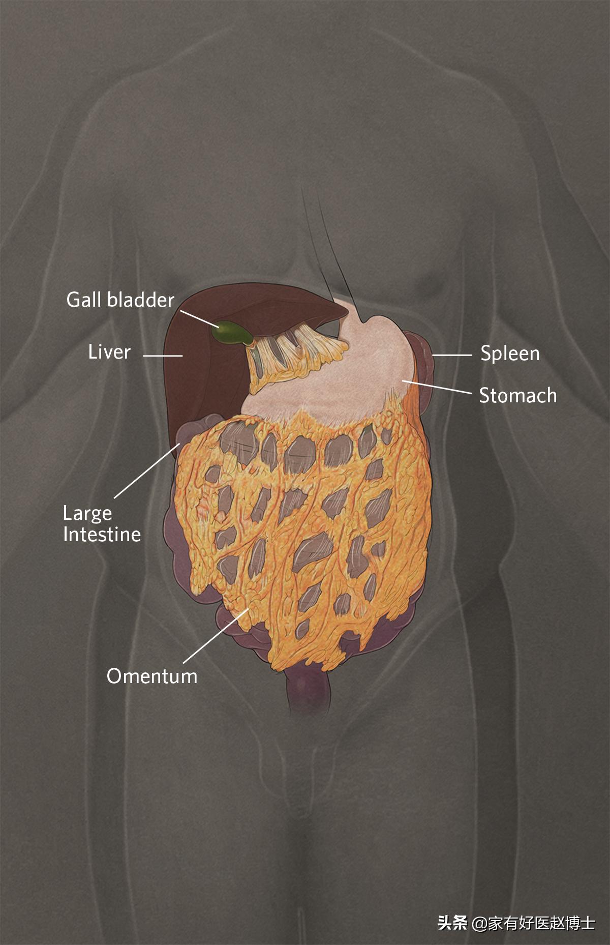 糖尿病为什么不能根治逆转,糖尿病真正的逆转是什么样的表现