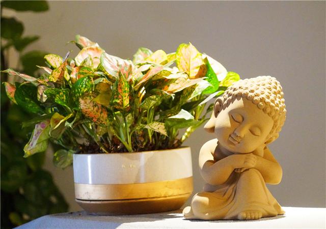 开封旅行实用攻略，3天时间打卡开封经典旅游景点