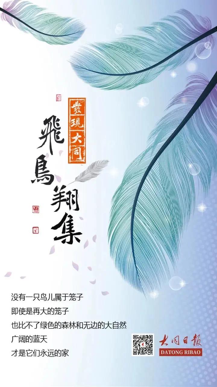 涂上黄色的“润唇膏”，TA就是野鸭中最靓的仔