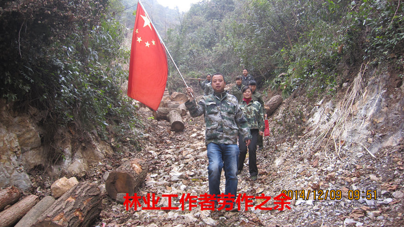 林业礼赞——世界最后一滴水将是人类的眼泪吗