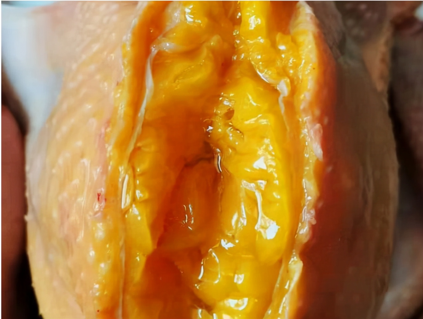 宰鸡时鸡身上的毛根部怎么去掉,鸡肚子里有一包水能不能吃