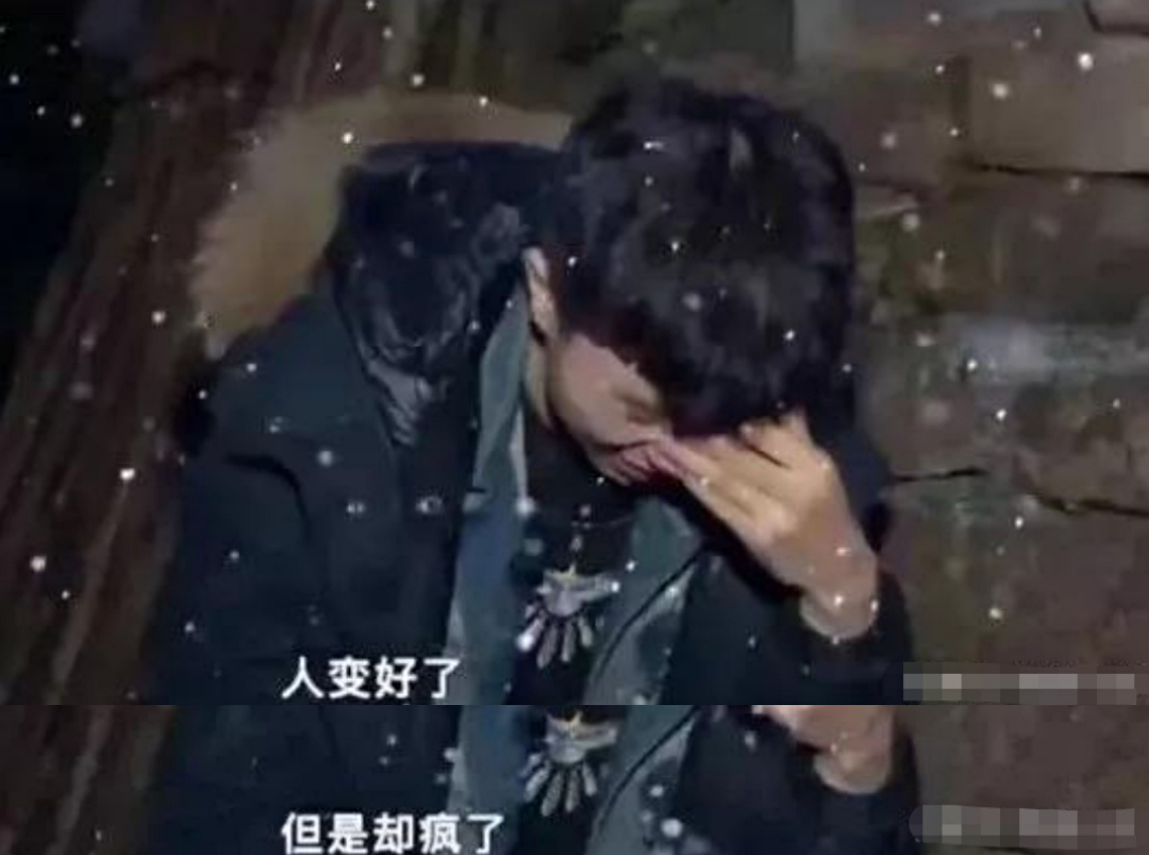 吴宗宏易虎臣王境泽韩安冉,变形计王晨正韩安冉王境泽