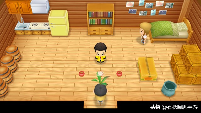 牧场物语矿石镇霍安买什么种子好,牧场物语重聚矿石镇猜苹果攻略