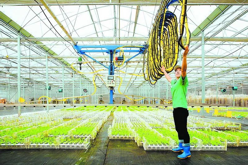 醉美拍照,醉美街景随拍