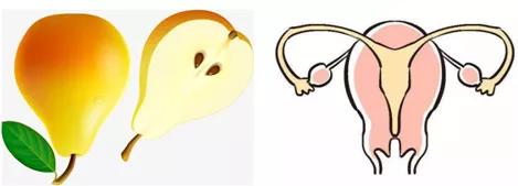 子宫科普知识,关于不孕症你了解多少