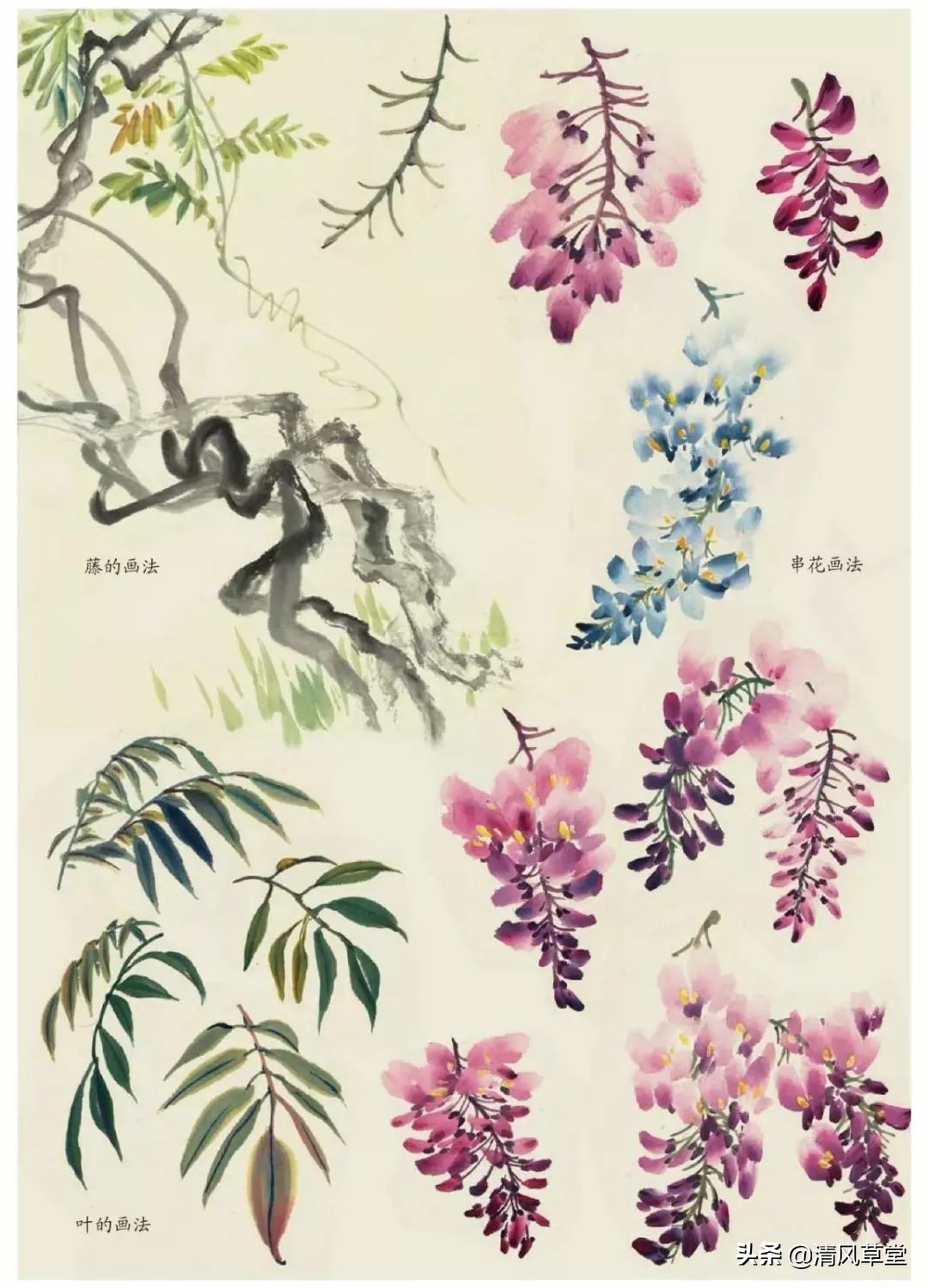少儿国画花卉画法视频,各种花卉的100种画法