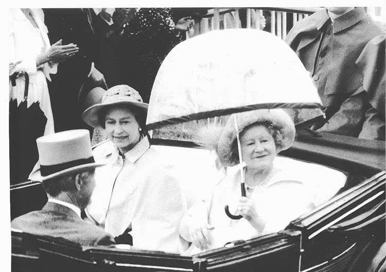 雨天必备好物,十大下雨必备实用好物