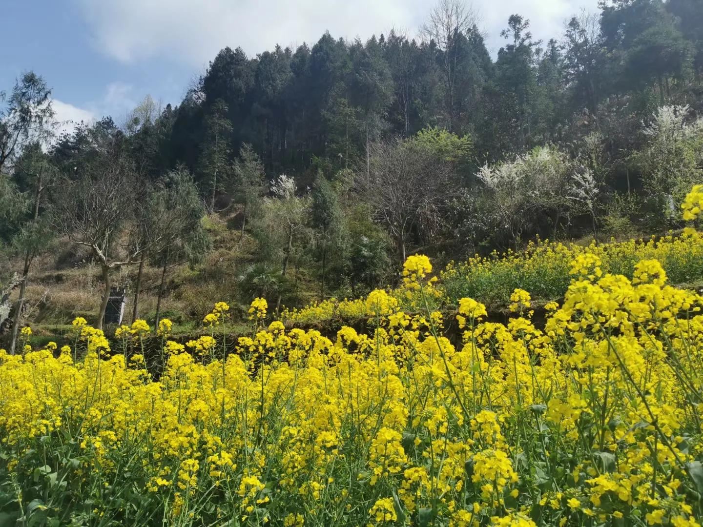 最难忘的1元钱,难忘的五块钱