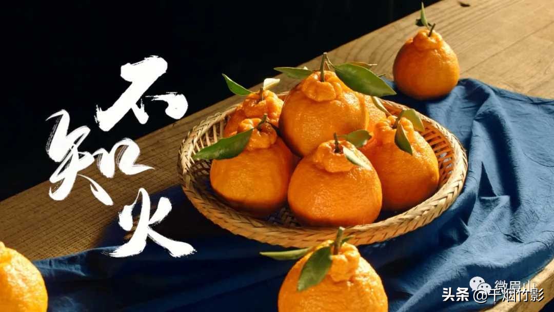 不知火春见,不知火丑橘春见