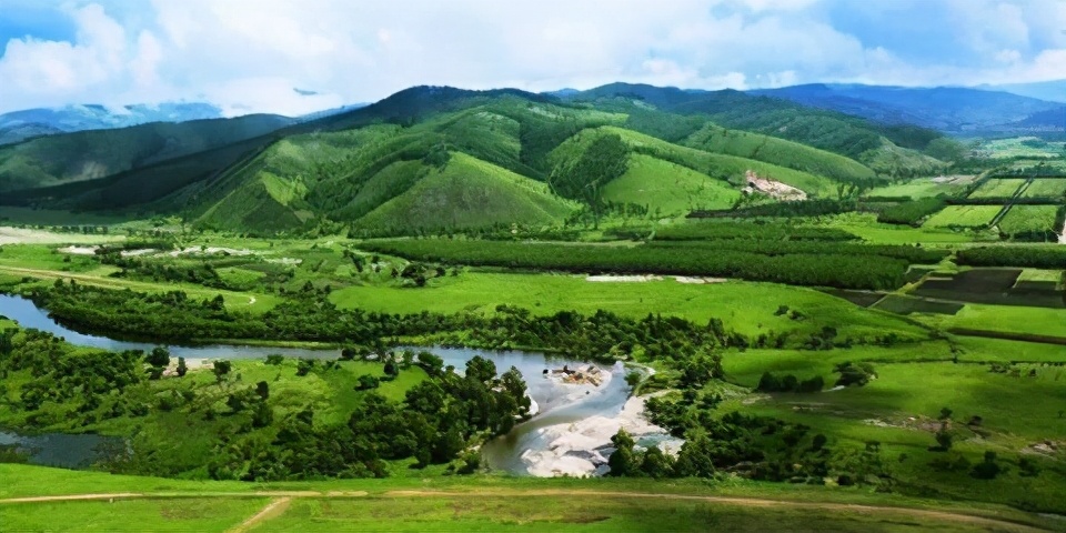 林场，我记忆的沟回