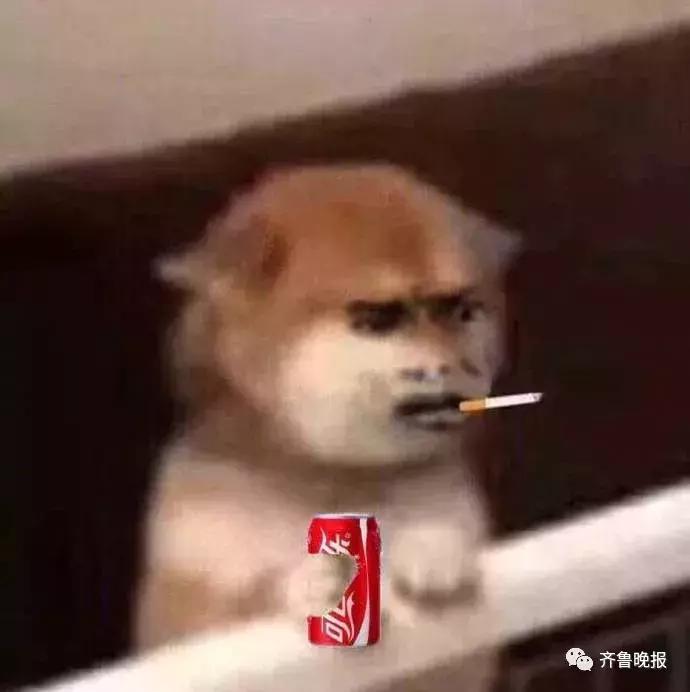 代购逃税达到多少可以判刑,网店被罚20万违法吗