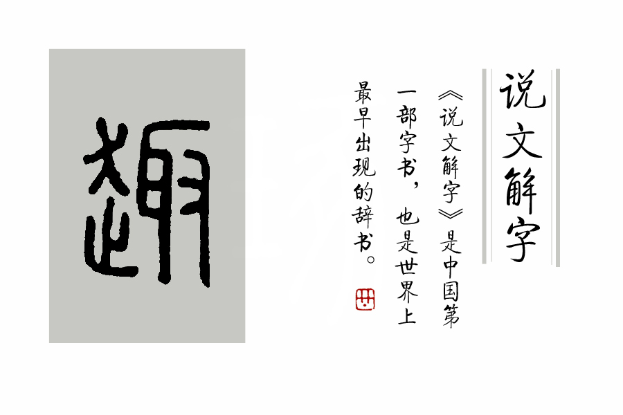 说文解字常见字例,说文解字第463课