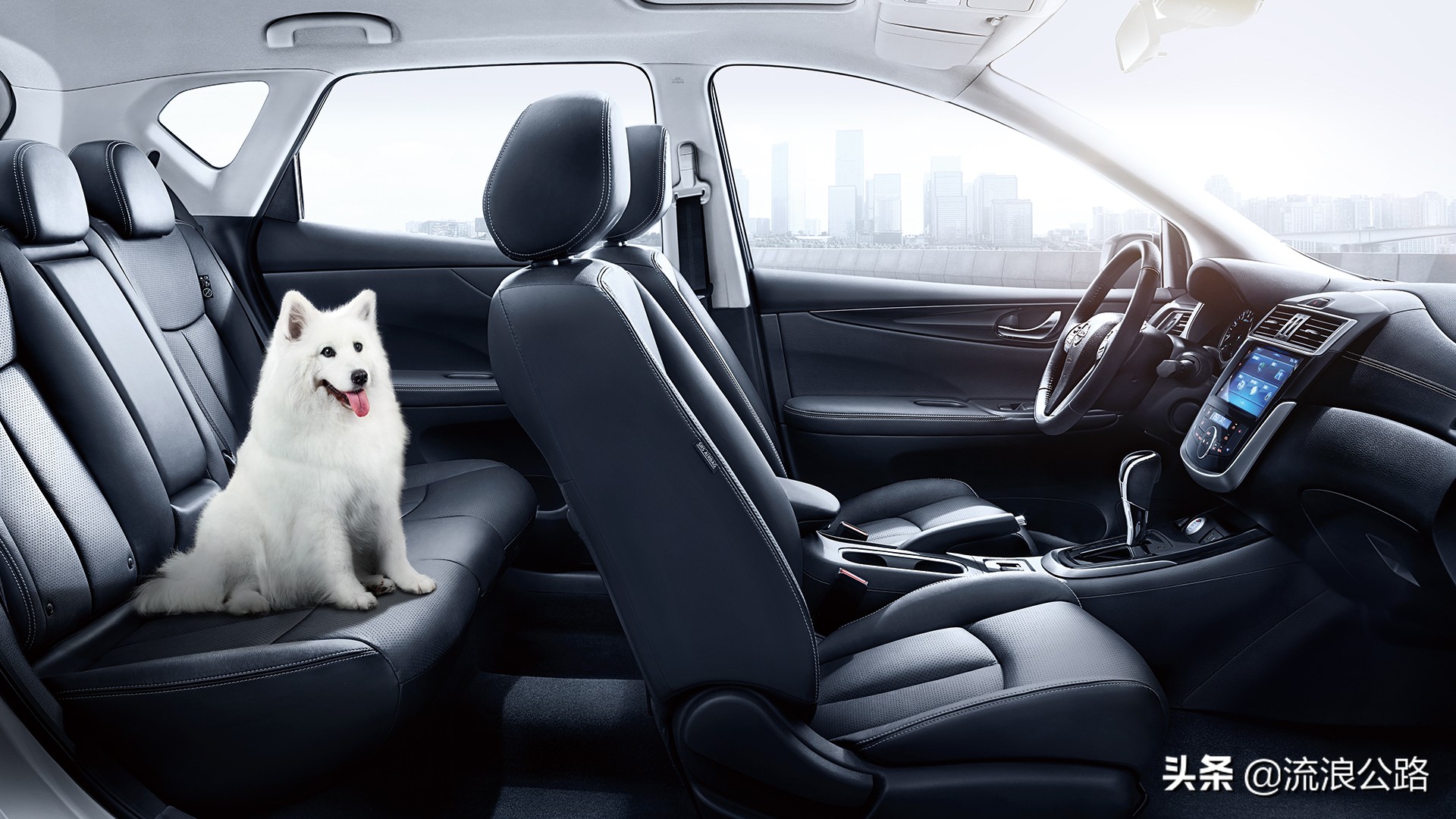 买骐达还是领动,日产骐达与现代领动哪个好