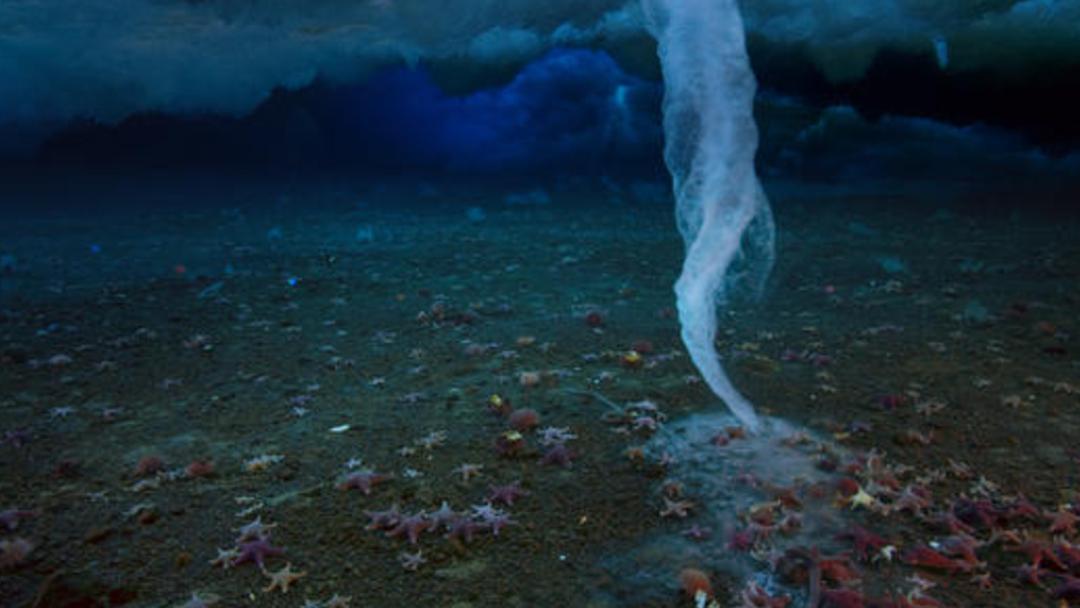 南极深海出现死亡冰柱现象,南极被冰冻的巨物