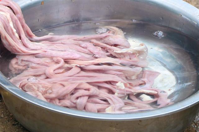 猪大肠怎么炒脆爽,猪大肠炒出来怎么是苦的