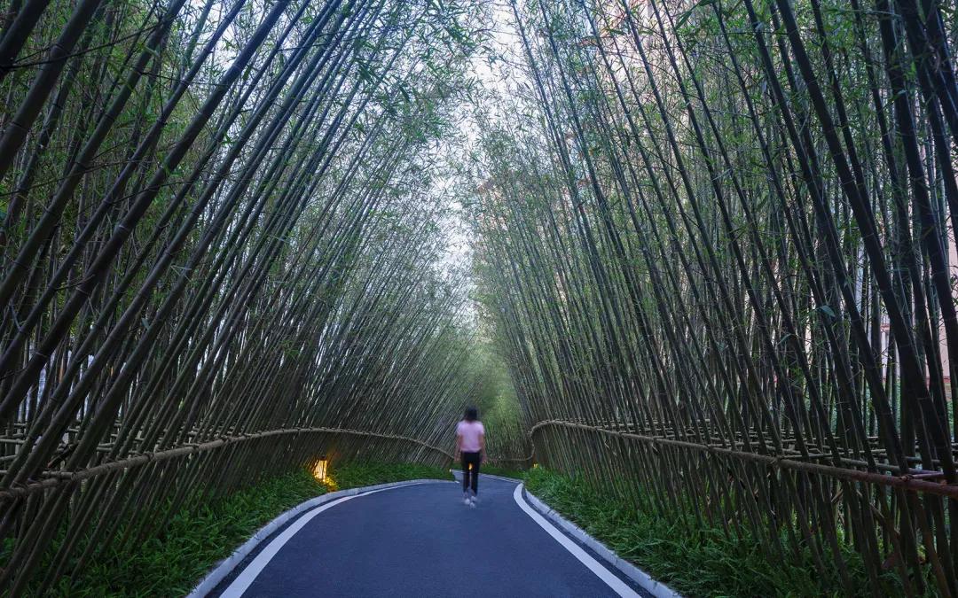 长沙龙湖日盛奕境园林,长沙龙湖日盛奕境怎么样