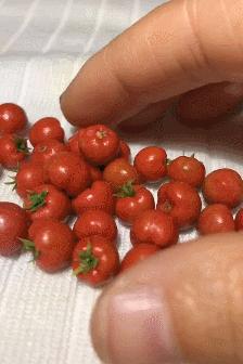 一个90后全职妈妈,一个90后的全职妈妈