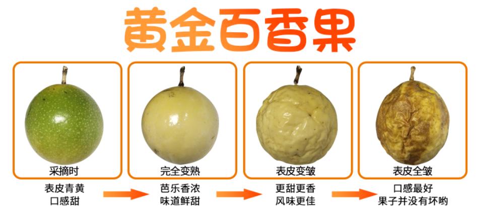 好吃到没朋友的东西,好甜好吃的百香果