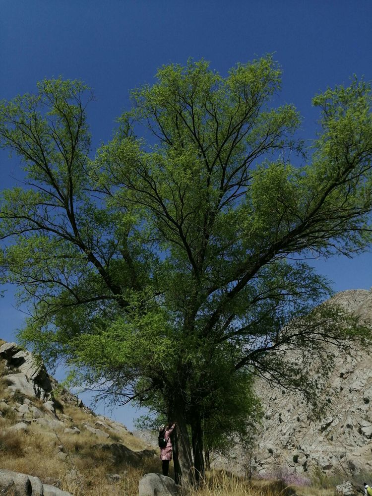 桑园子到什川隧道,桑园子至什川徒步