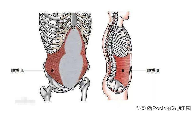 跳绳甩大肚腩怎么跳,配合跳绳减肚子和腰最快的方法