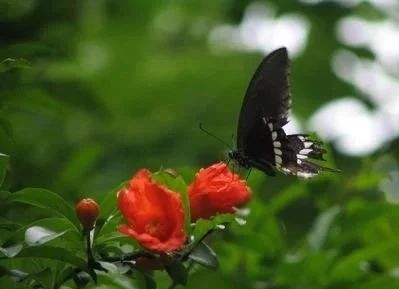 太容易心动是什么原因呢,太容易动心不是件好事