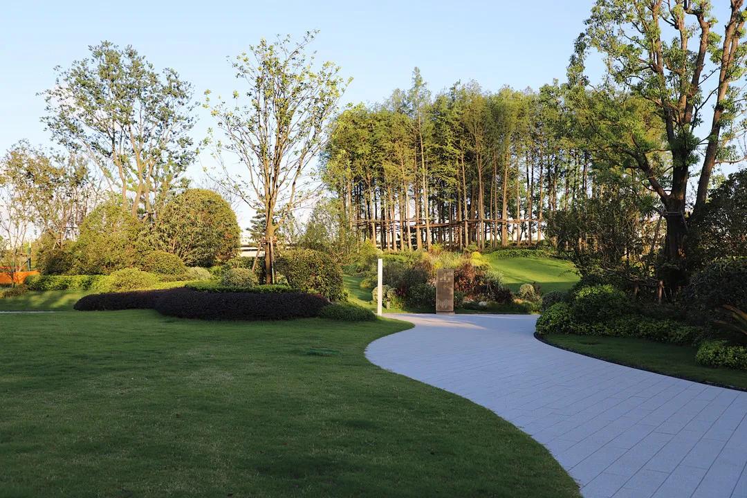 地址鳌江公园,鳌江公园最新规划