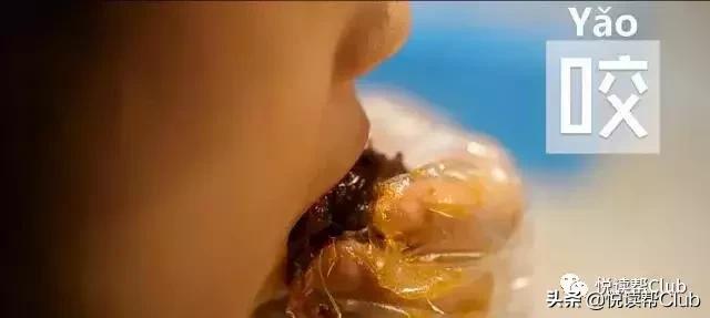 连成都人都赞不绝口的兔头空降安顺!这些兔兔还是安顺人自家养的