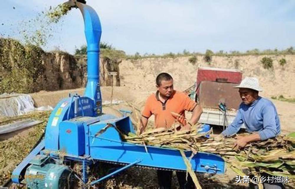 农民工在农村创业门路上干什么活,务工致富
