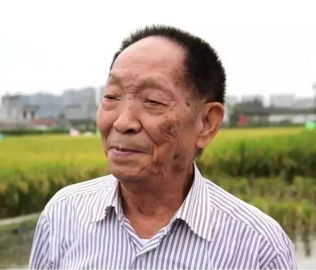 89岁袁隆平现状：坐轮椅出行，仅带一名助理，他的工资打脸众明星
