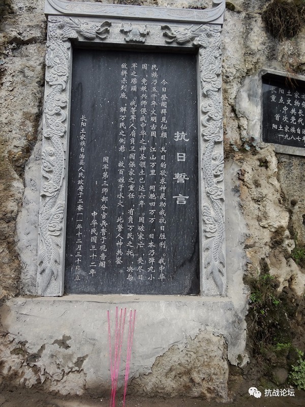 樱花死亡的故事,樱花死亡原因分析