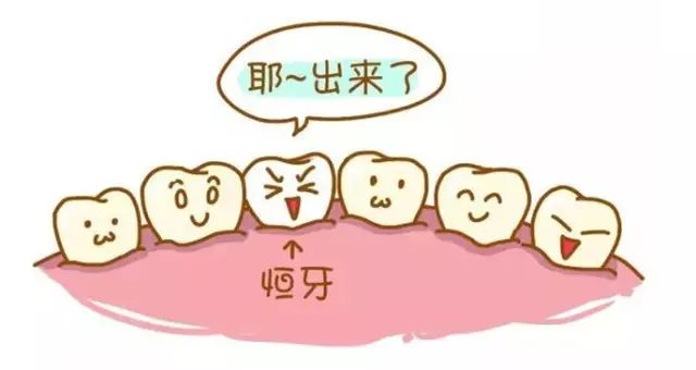 奶瓶龋对婴幼儿牙齿损害有多大,奶瓶龋主要发生在哪颗牙齿