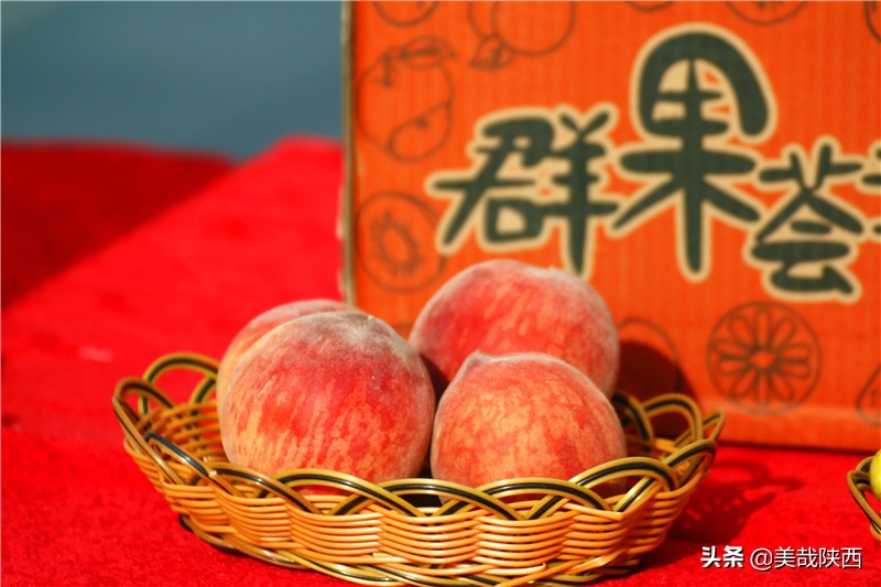 水果之乡陕西大荔,不讲理的大荔县典故