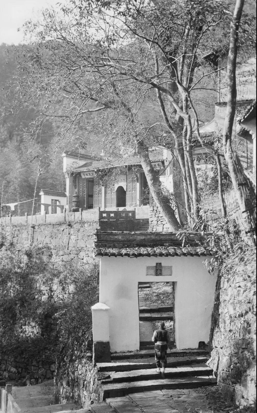 钱塘江从哪里开始变黄,钱塘江长大潮什么原因