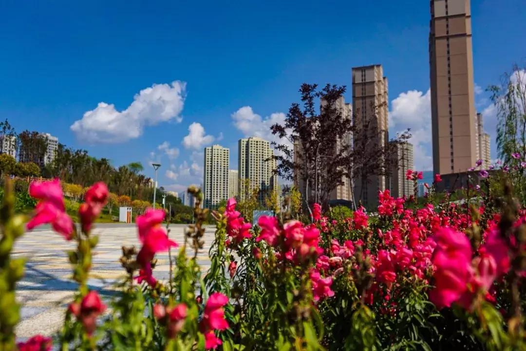 西宁一个臭水沟变成了大公园，看看在哪？