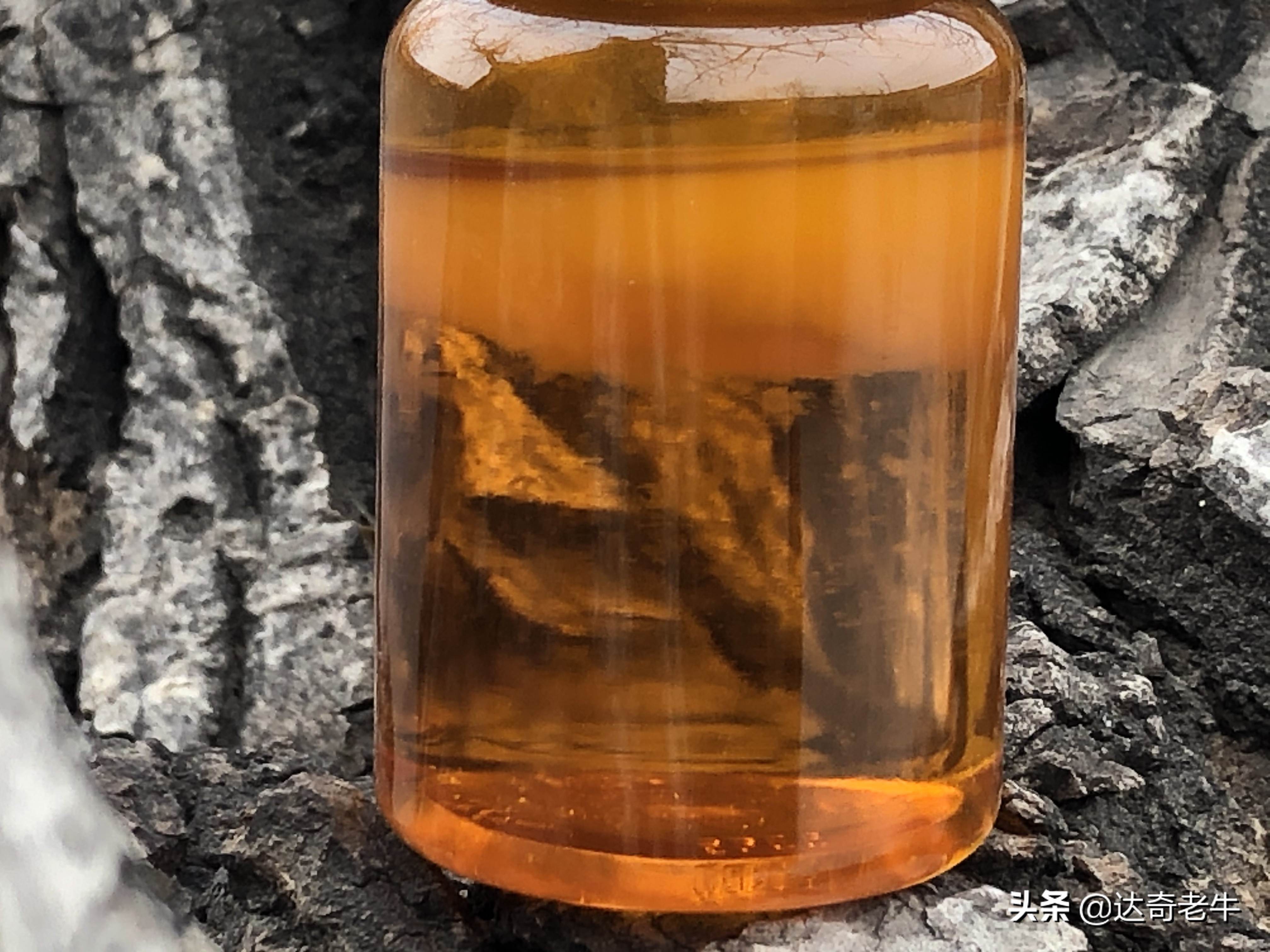 味型一样的钓鱼小药,为何价格相差10倍?业内的秘密你不知道