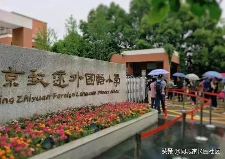南京致远外国语小学和金中实小,南京市建邺区致远外国语小学
