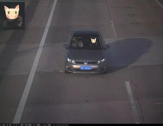 曝光!鲁B06B9V被罚款150元记2分!只因开车看手机