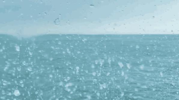 花鸟岛和枸杞岛攻略,海花岛攻略带你玩转海花岛