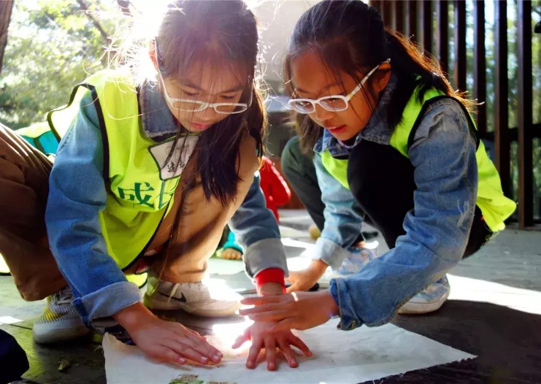 保护朱鹮,朱鹮自然保护区有利条件