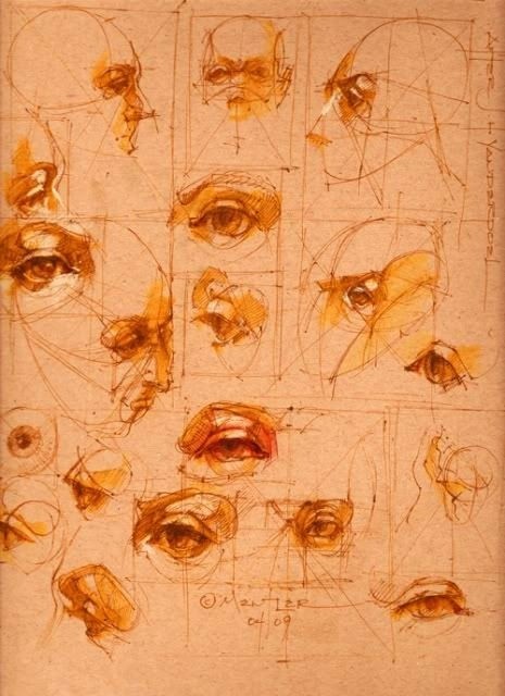 透视表现空间的基本方法,透视解剖学原理书籍