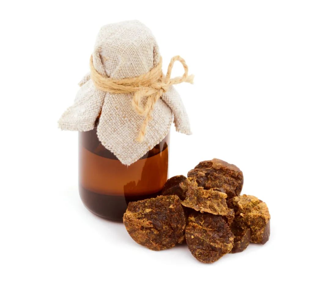 蜂胶的抗真菌作用,蜂胶抗病毒视频