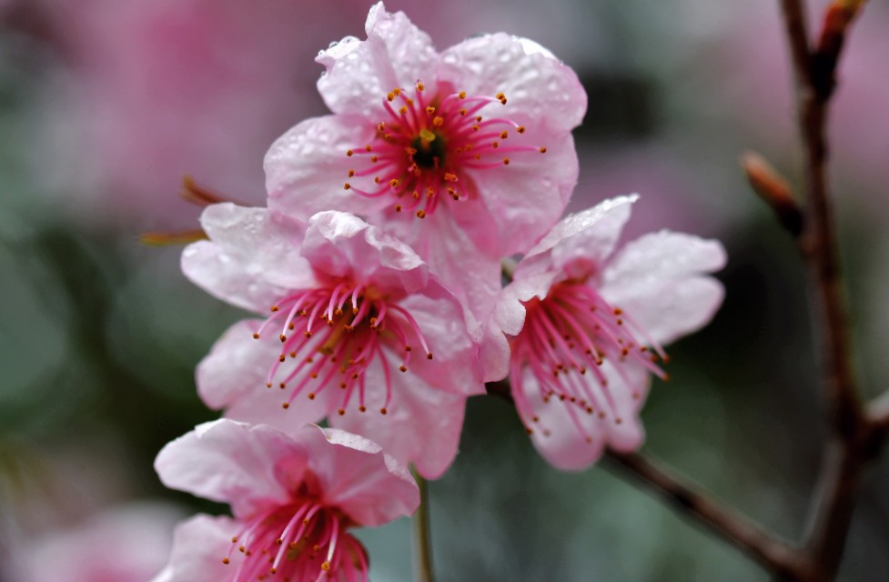 春雨江苏东台,春雨江苏无锡