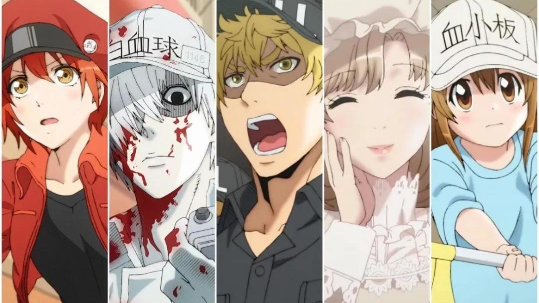 B站会员专享的3部动漫，每一部都能激发起你充值的欲望