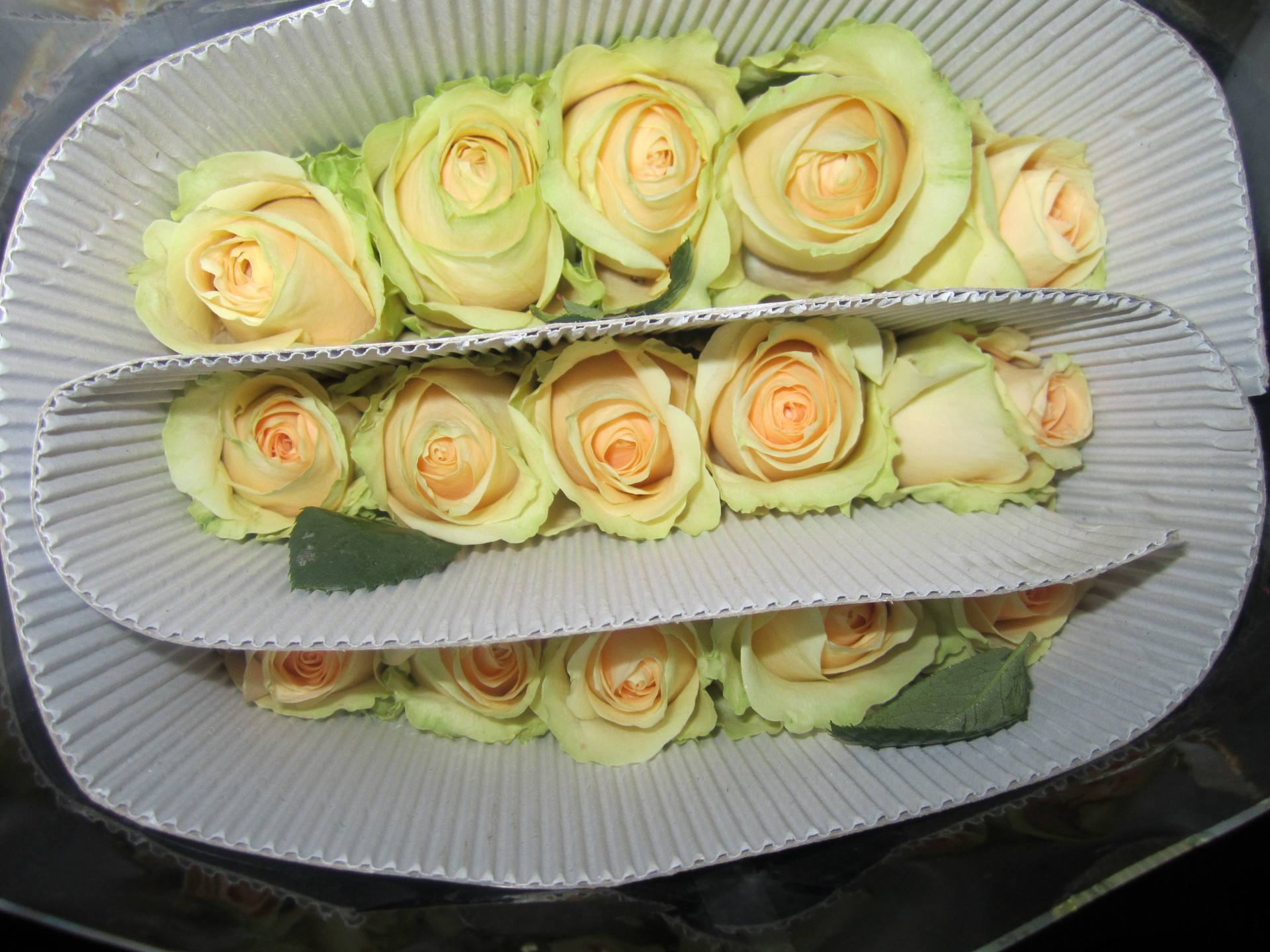 淘宝情人节,淘宝情人节卖什么产品最火