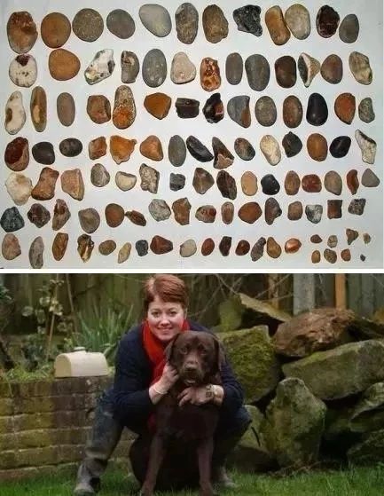 狗狗的肚子……其实是个“百宝箱”？